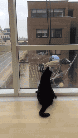 chcdb7.gif