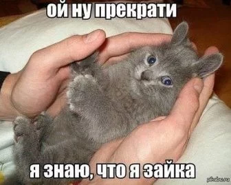 chcfc5.webp