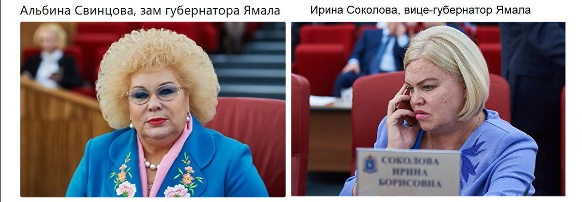 chdej1.webp