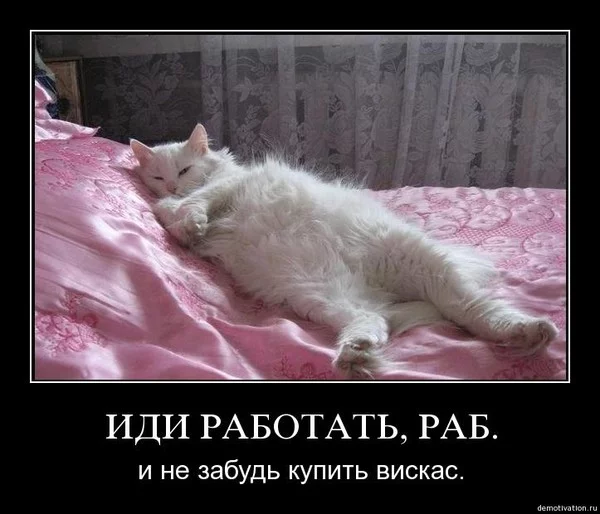 chdej5.webp