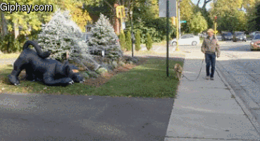 chdgg0.gif