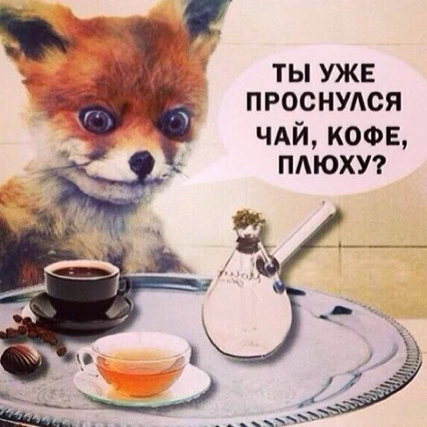 che6jj.webp