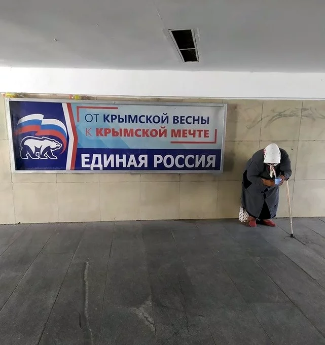 che9cc.webp