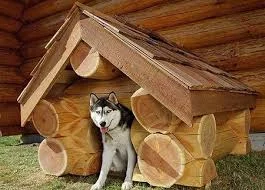 chee0j.webp