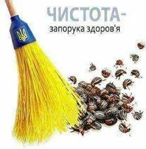 chehg0.webp