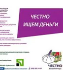 CHESNO-b.webp