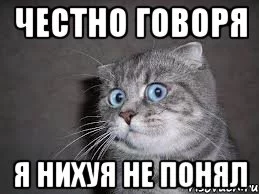 chestno-skazat-ya-tozhe_27370816_orig_.webp