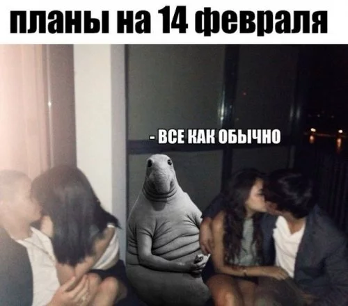 chg9ba.webp