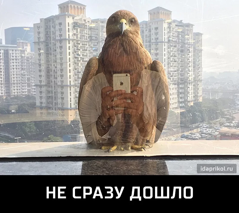 chgh4e.webp