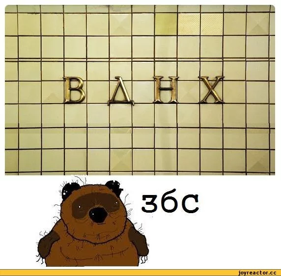 chhc4b.webp