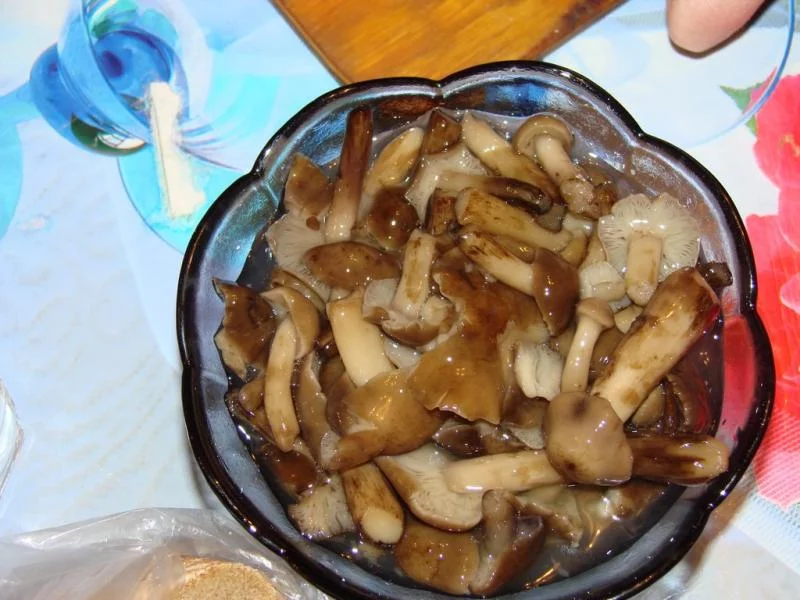 chhj5c.webp