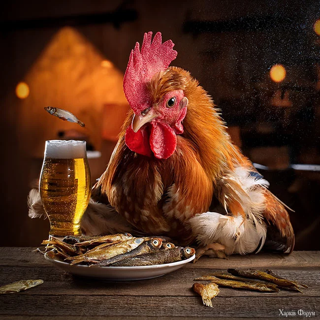 chick.webp