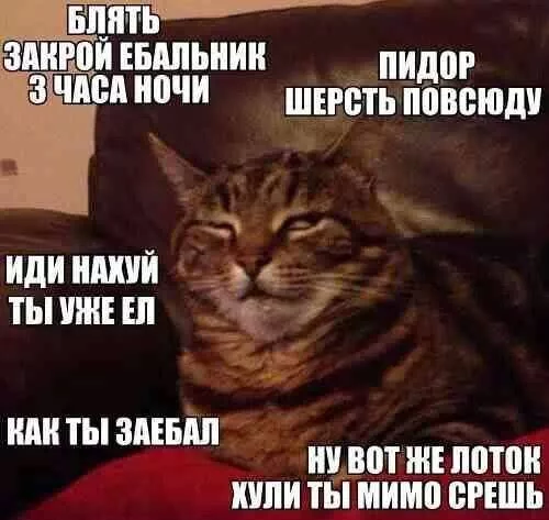 chjjb5.webp