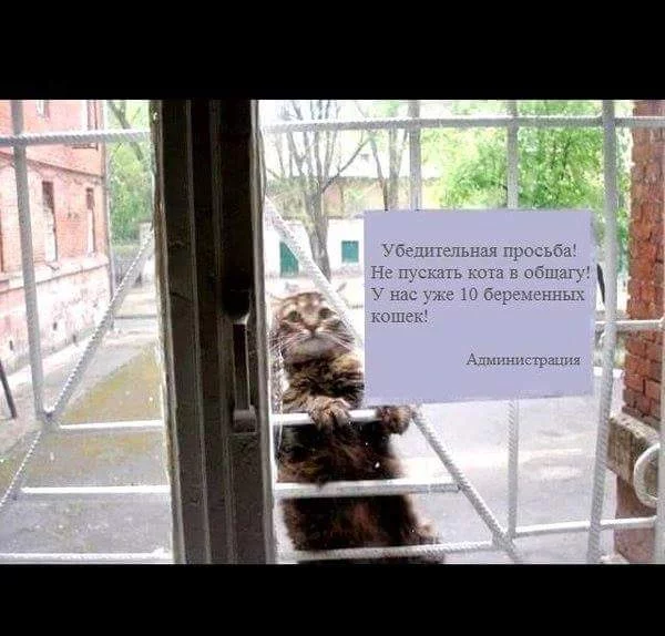 ChMXGRAUkAAGLru.webp