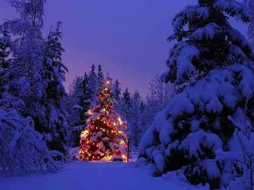 christmas.webp