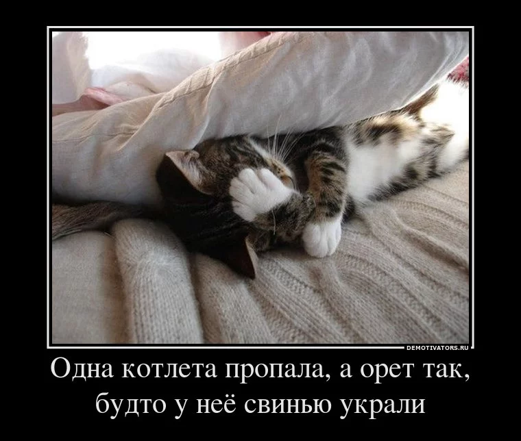 CiMZib4XAAElLTl.webp