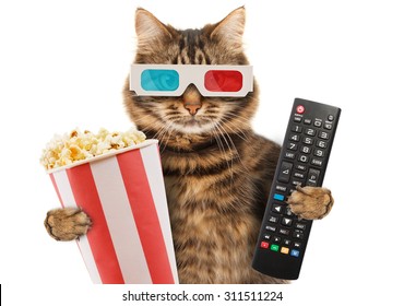 cinema-concept-funny-cat-3d-260nw-311511224.jpg