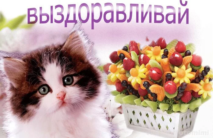 cj2hdf.webp