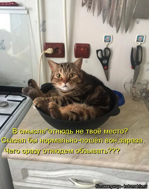 cj4bjg.webp
