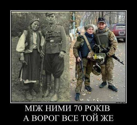 cjbe8j.webp