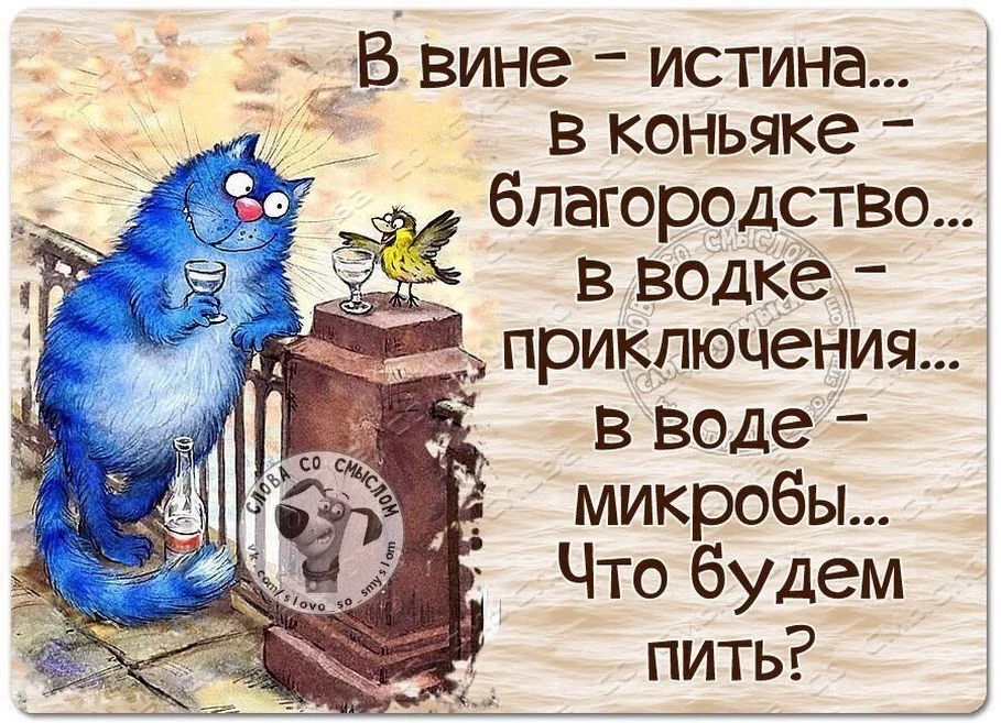 cjbhd4.webp