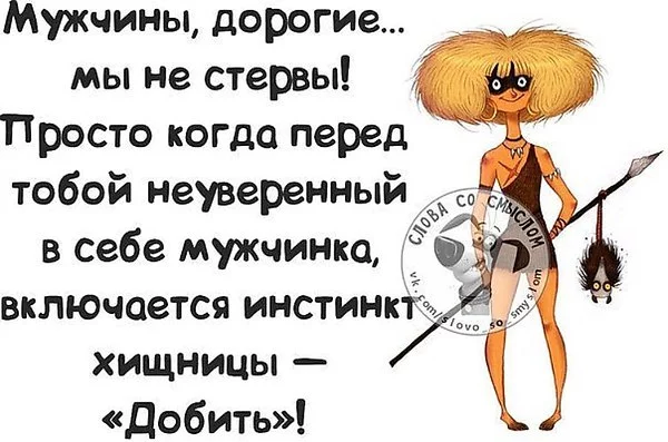 cjdb7f.webp
