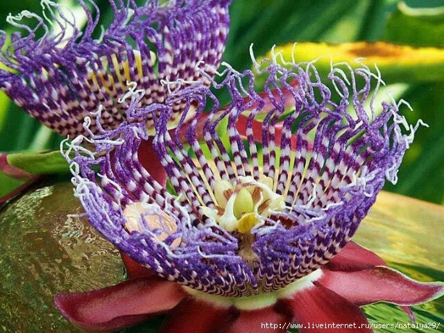 cjdfj7.webp
