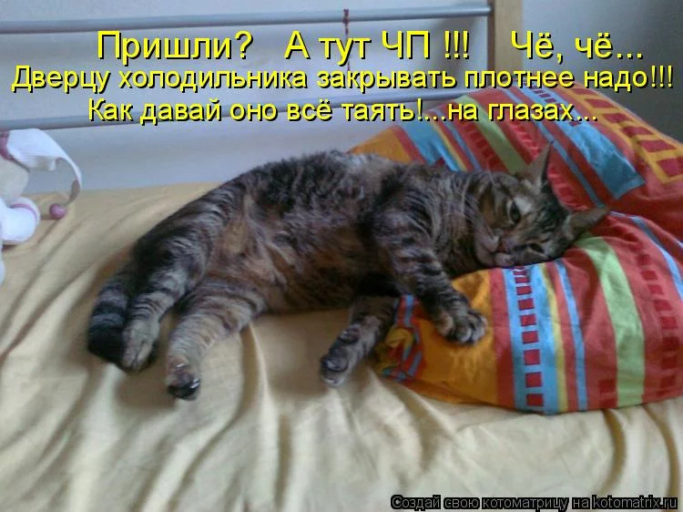 cjed8a.webp