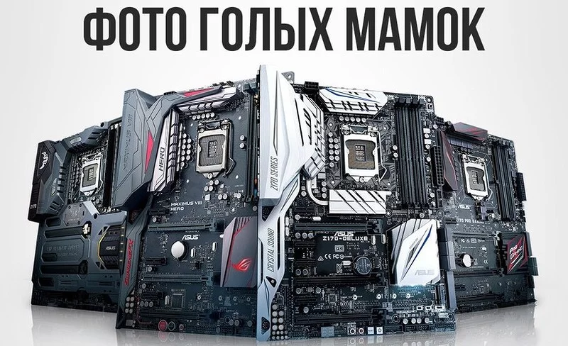 cjgj6a.webp