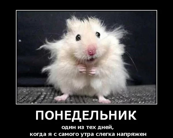 cjh0dd.webp