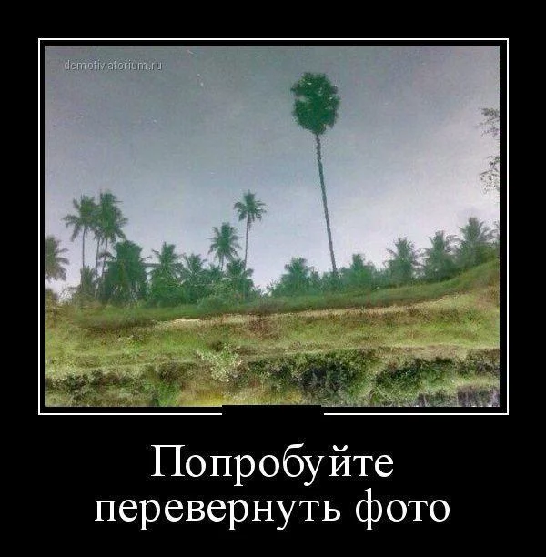 cjh8ga.webp