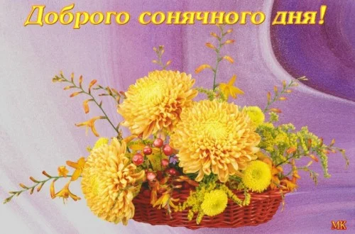 cjhdh5.webp