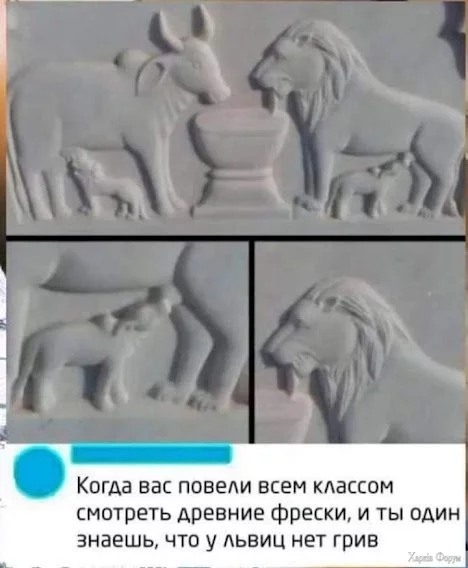 CJhdX3L3KdJI0rw&_nc_zt=23&_nc_ht=scontent.fiev28-1.webp