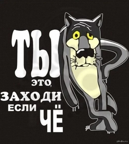 cjj4gf.webp