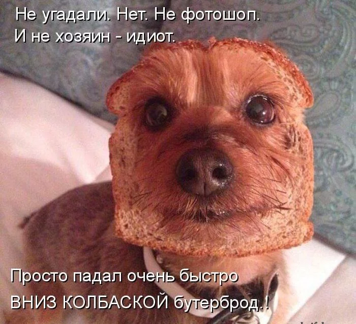 cjjfd2.webp