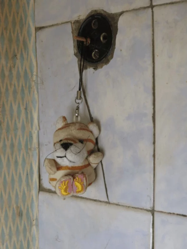 cjjjg1.webp