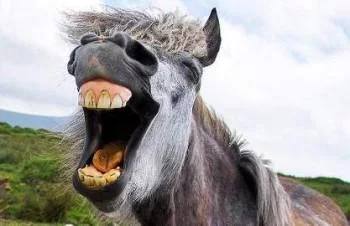 CKbOCeUUwAATOpO.webp