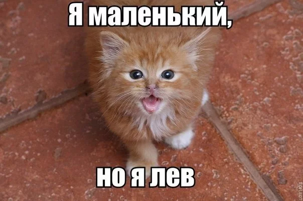 ClhuDE1YWT8.webp