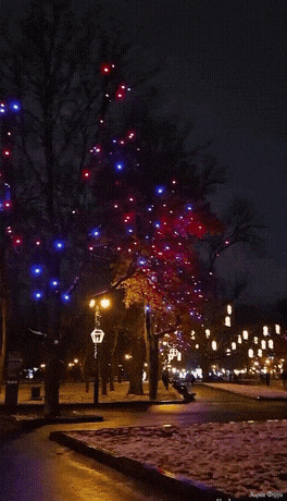 clideo_editor_66ada11ff8af4283904661f48ec041e7 (1) (1).gif