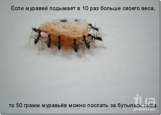 clip_image038_thumb.webp