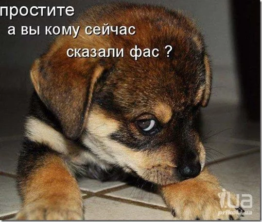 clip_image040_thumb.webp