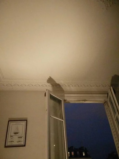 ClzVT1kWEAAeTcs.webp