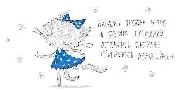 Cm2z8L4XgAAoxsc.webp