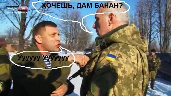 cmRCk7lRgag.webp