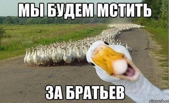 CMZbsBBWIAA3XOr.webp