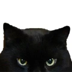 cnJpjaAW_400x400.webp