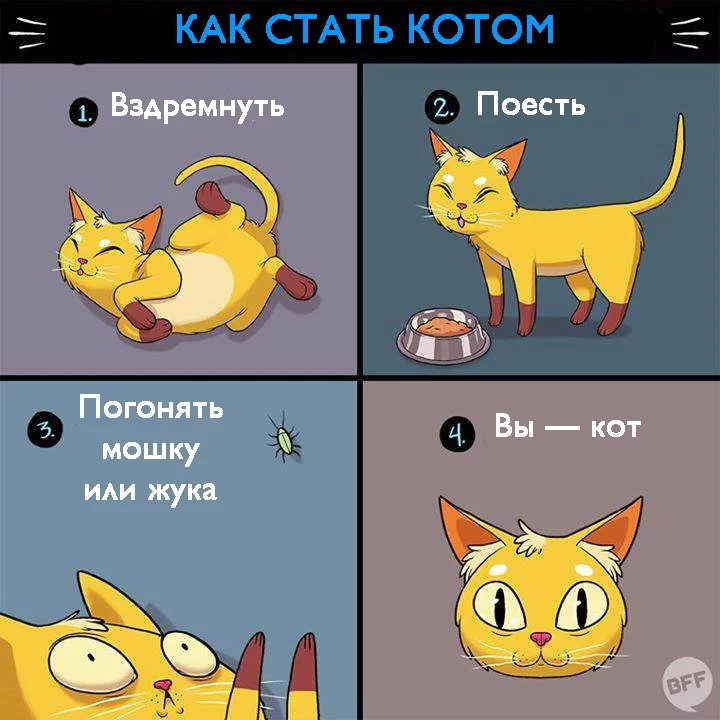 CnqCyQvWEAAMCNa.webp