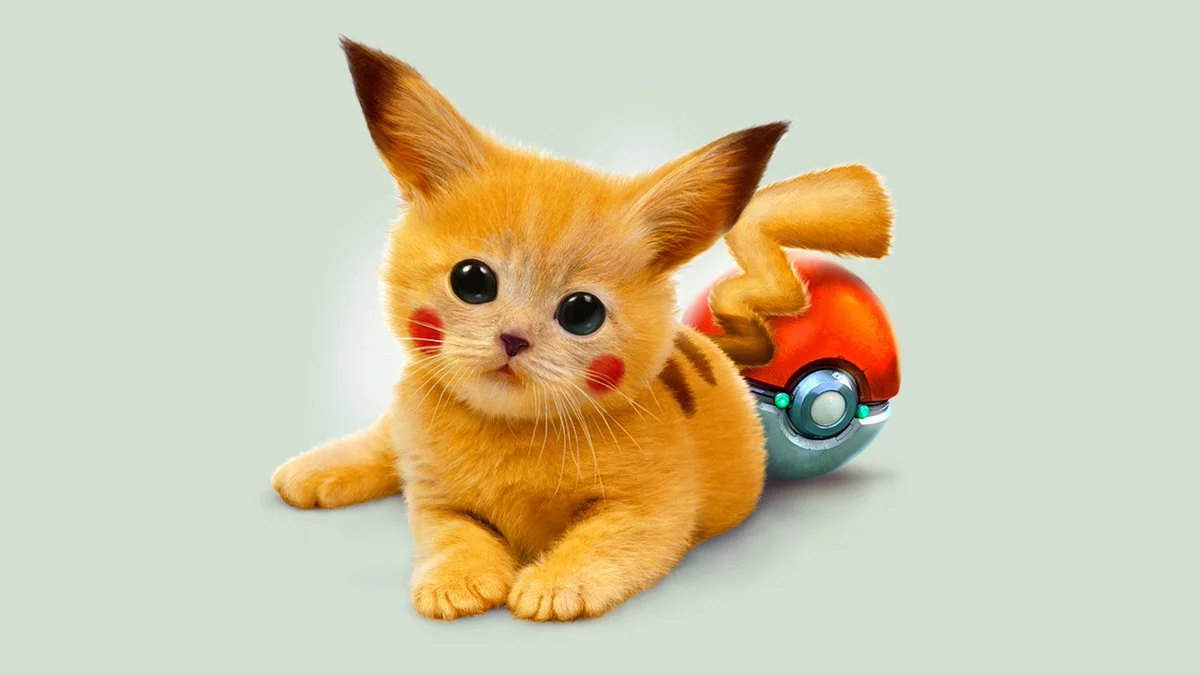 CnwJaYPWcAAPv_4.webp