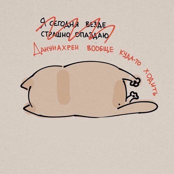 CnYm2G9VUAArRx3.jpg