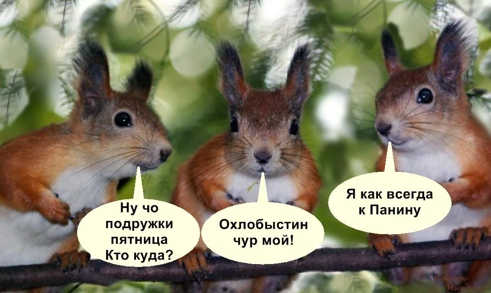 COFbkajWIAEQ4pY.webp